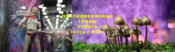 прущие крисы Балахна