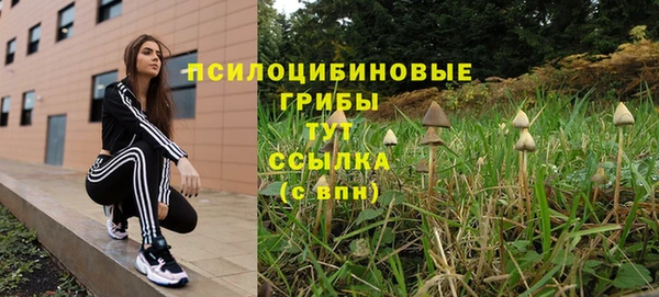 прущие крисы Балахна