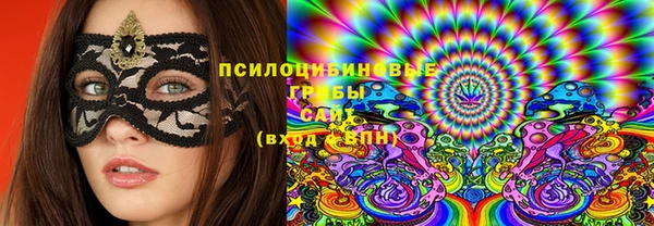 ПСИЛОЦИБИНОВЫЕ ГРИБЫ Семилуки