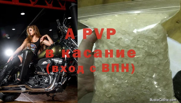 прущие крисы Балахна