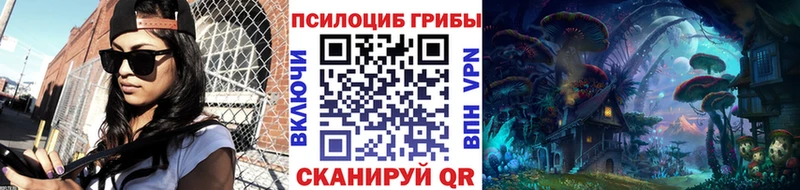 магазин продажи наркотиков  Сердобск  OMG ссылки  Псилоцибиновые грибы Cubensis 